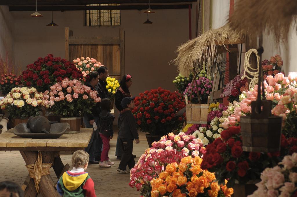 Bed and Breakfast Molino San Juan à Cayambe Extérieur photo